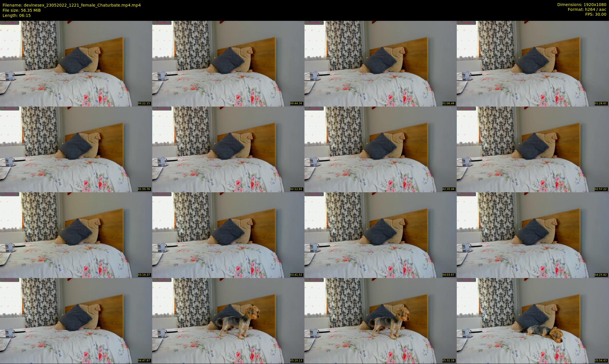devinesex — 7 minute Chaturbate female cam show recording, 1080p, May 23, 2022