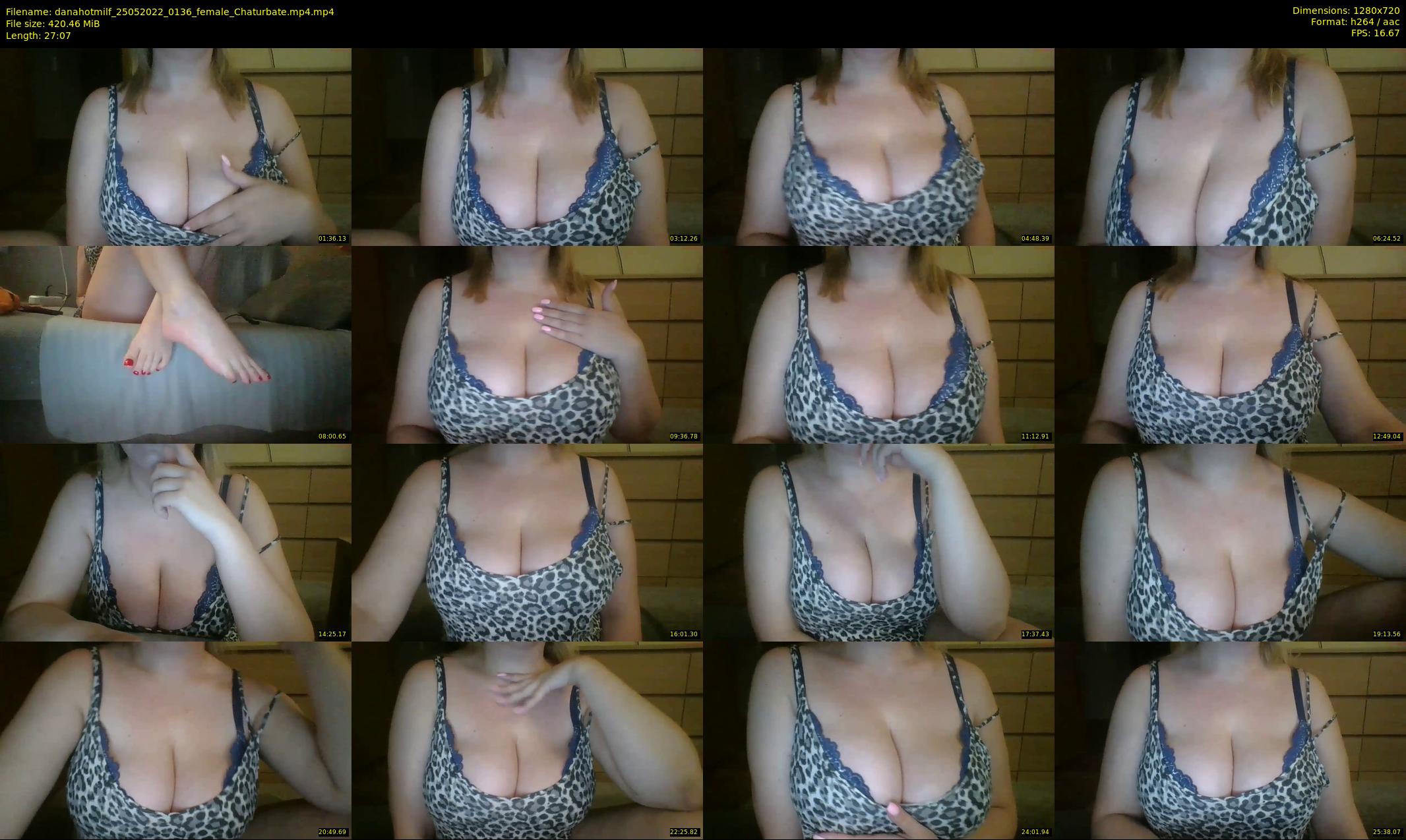 danahotmilf — 28 minute Chaturbate female cam show recording, 720p, May 25, 2022