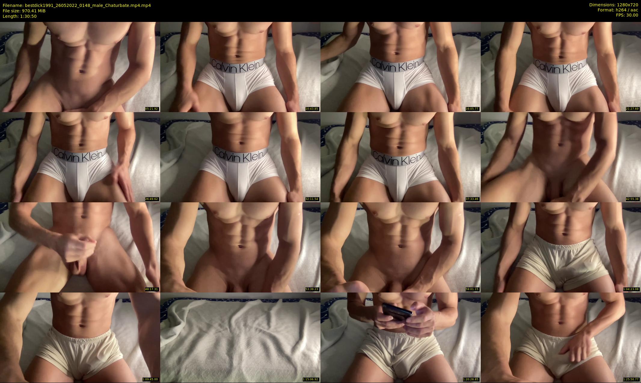 bestdick1991 — 91 minute Chaturbate male cam show recording, 720p, May 26, 2022
