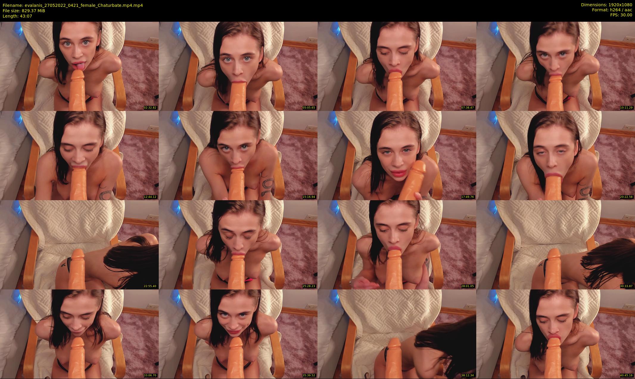 evalanis — 44 minute Chaturbate couple cam show recording, 1080p, May 27, 2022
