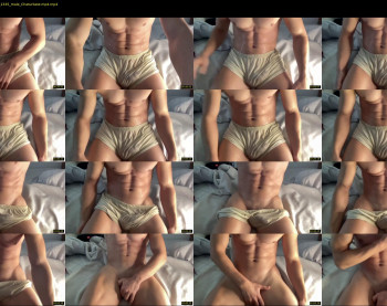 bestdick1991 — 6 minute Chaturbate male cam show recording, 720p, May 28, 2022