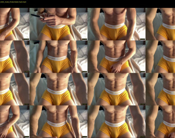 bestdick1991 — 4 minute Chaturbate male cam show recording, 720p, May 28, 2022