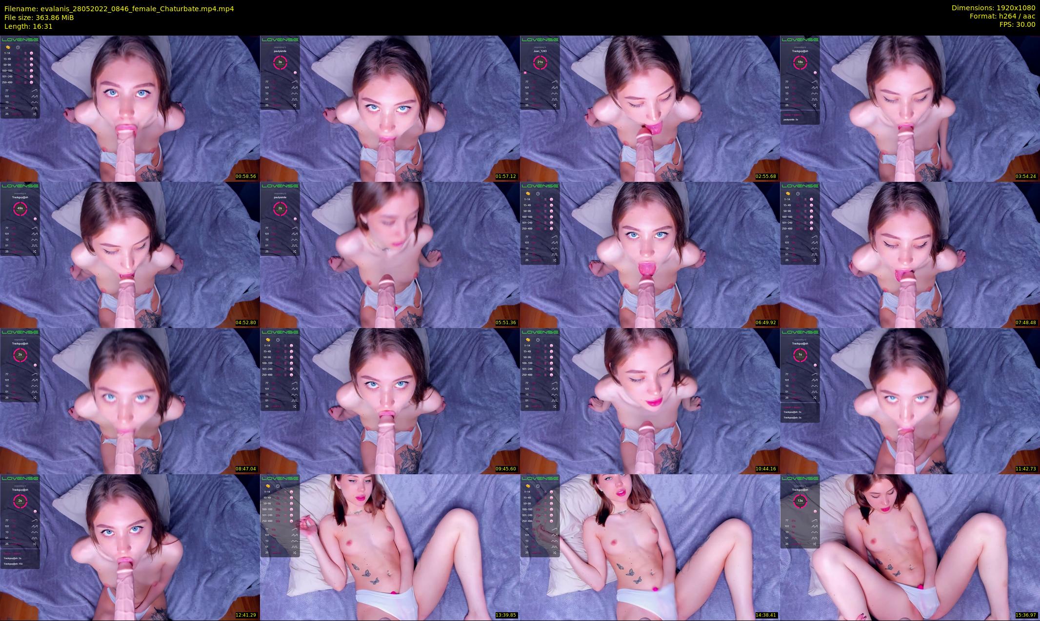 evalanis — 17 minute Chaturbate couple cam show recording, 1080p, May 28, 2022