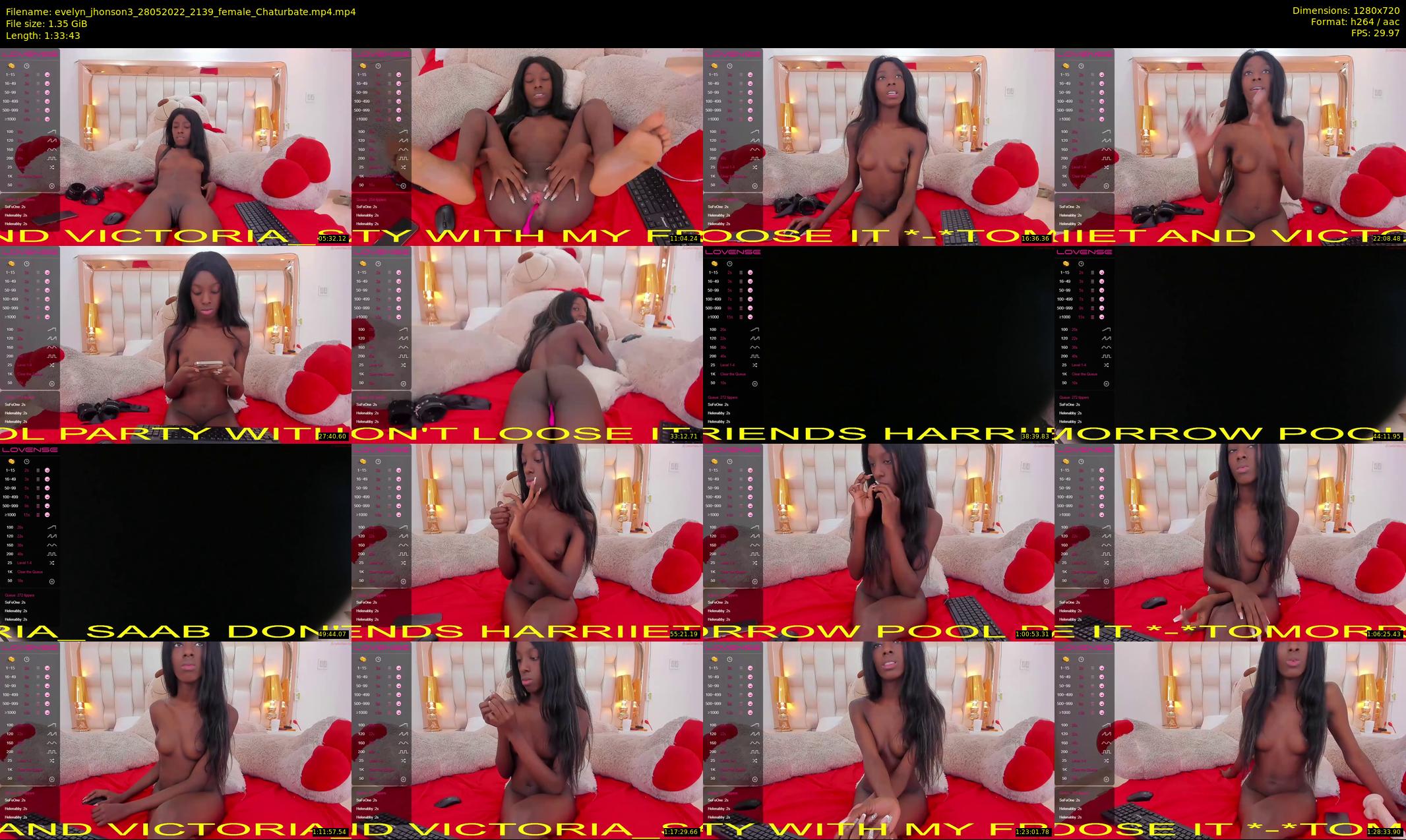 evelyn_jhonson3 — 94 minute Chaturbate female cam show recording, 720p, May 28, 2022