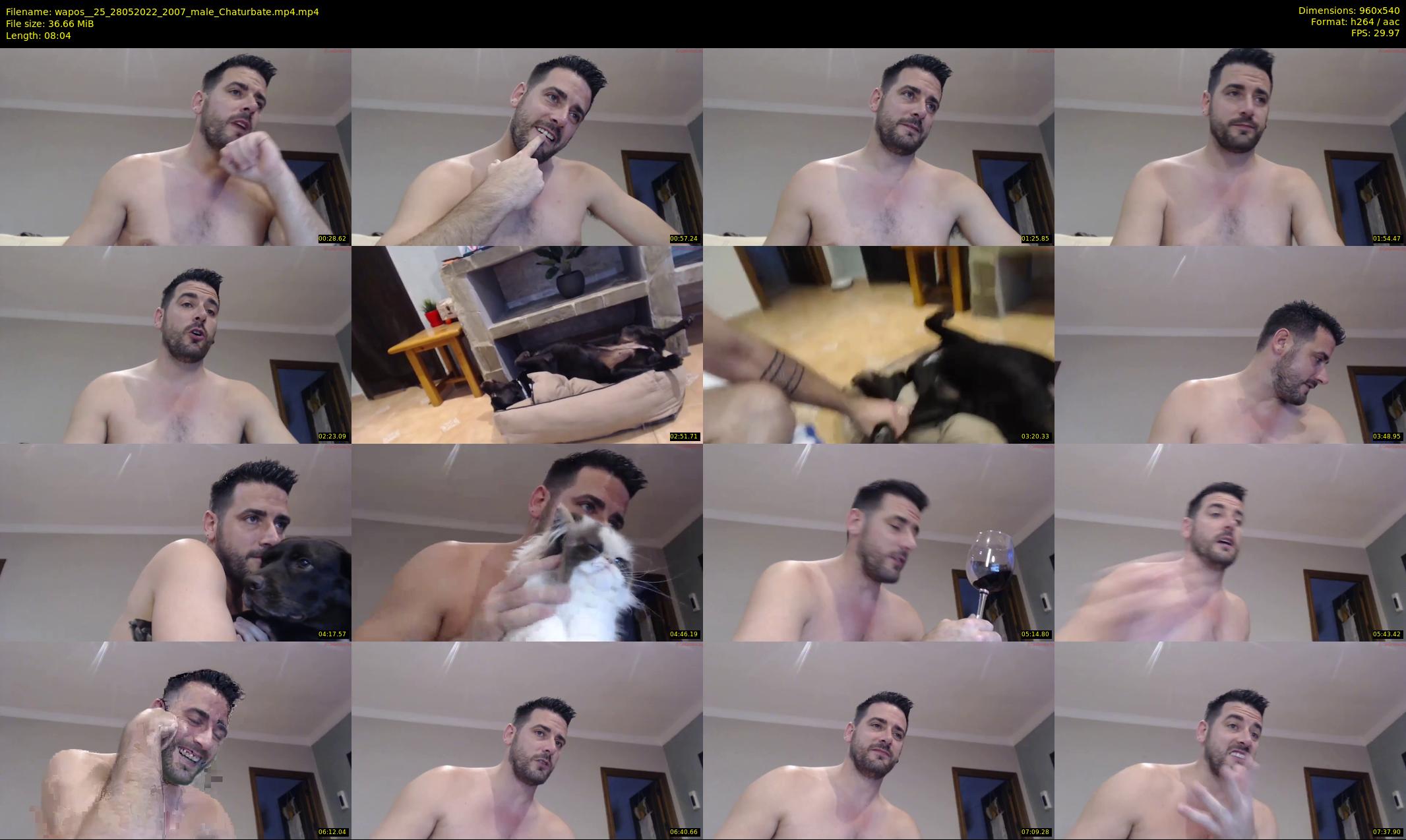 wapos__25 — 9 minute Chaturbate male cam show recording, 480p, May 28, 2022