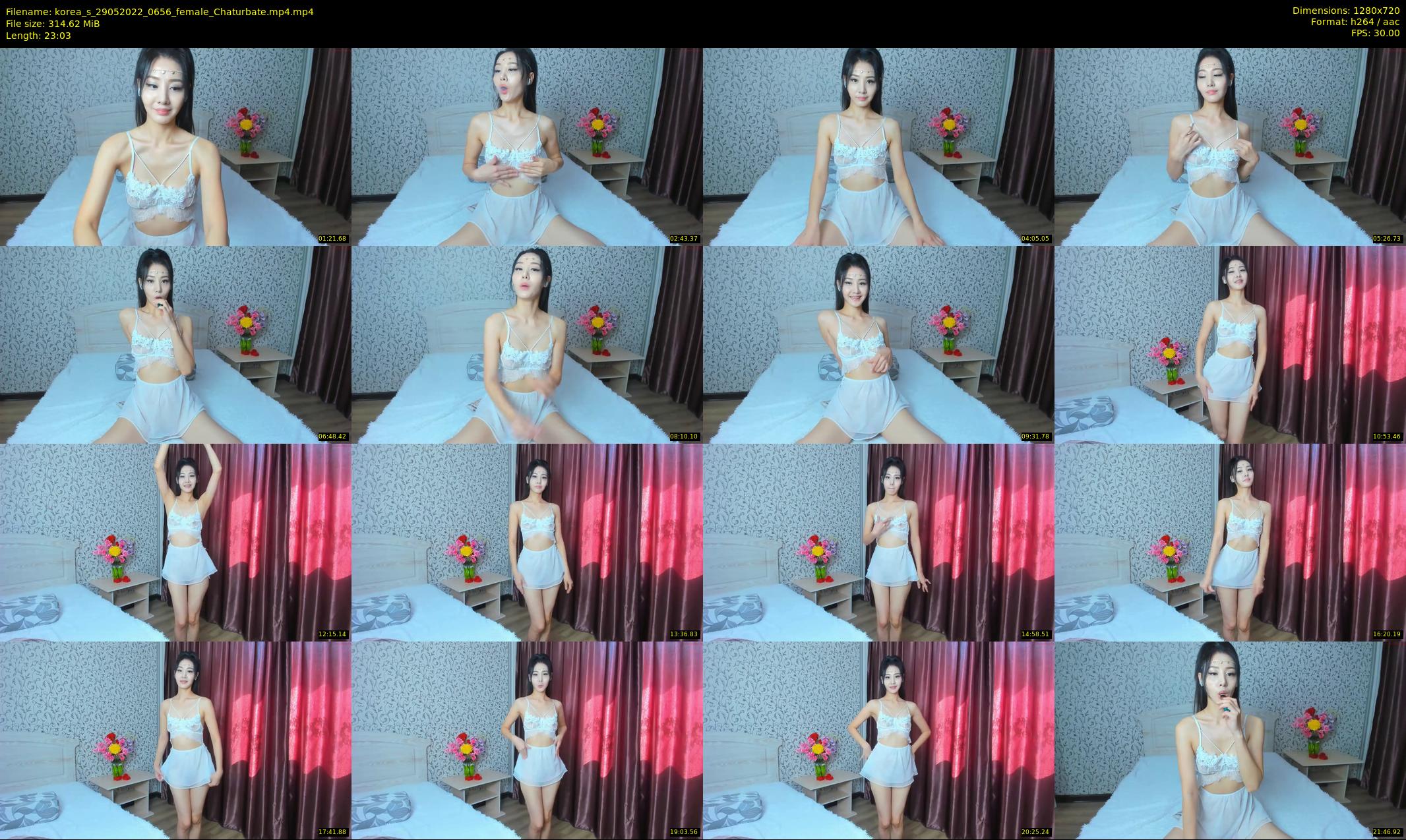 korea_s — 24 minute Chaturbate female cam show recording, 720p, May 29, 2022