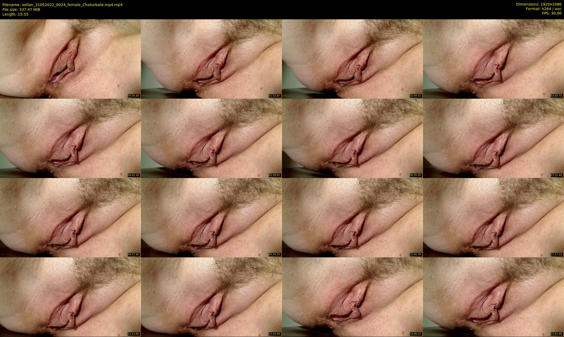 xollan — 16 minute Chaturbate female cam show recording, 1080p, May 31, 2022