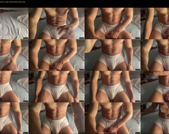 bestdick1991 — 19 minute Chaturbate male cam show recording, 720p, Jun 1, 2022
