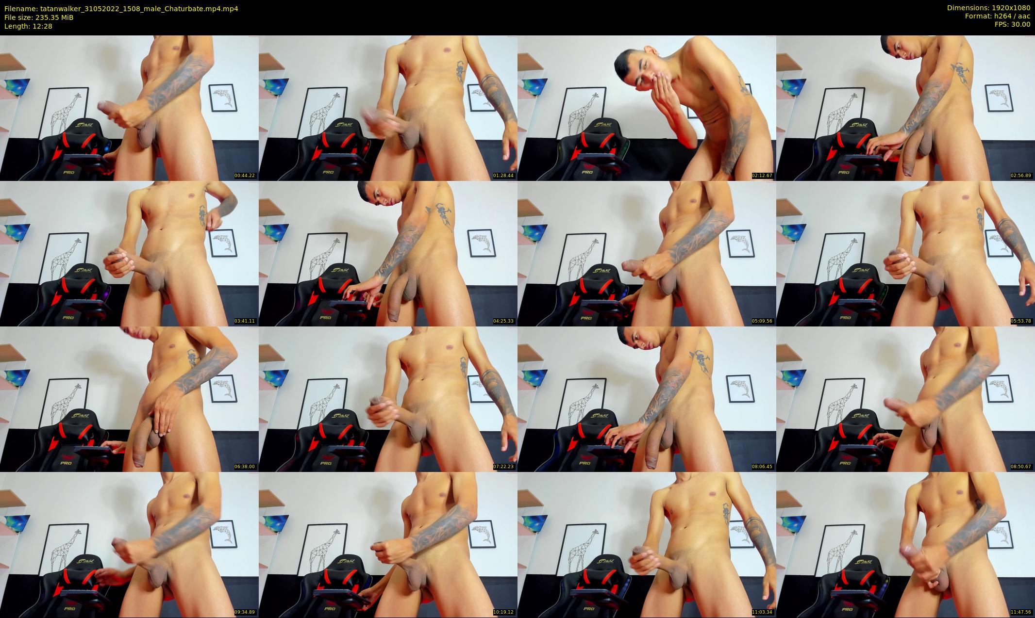 tatanwalker — 13 minute Chaturbate male cam show recording, 1080p, May 31, 2022