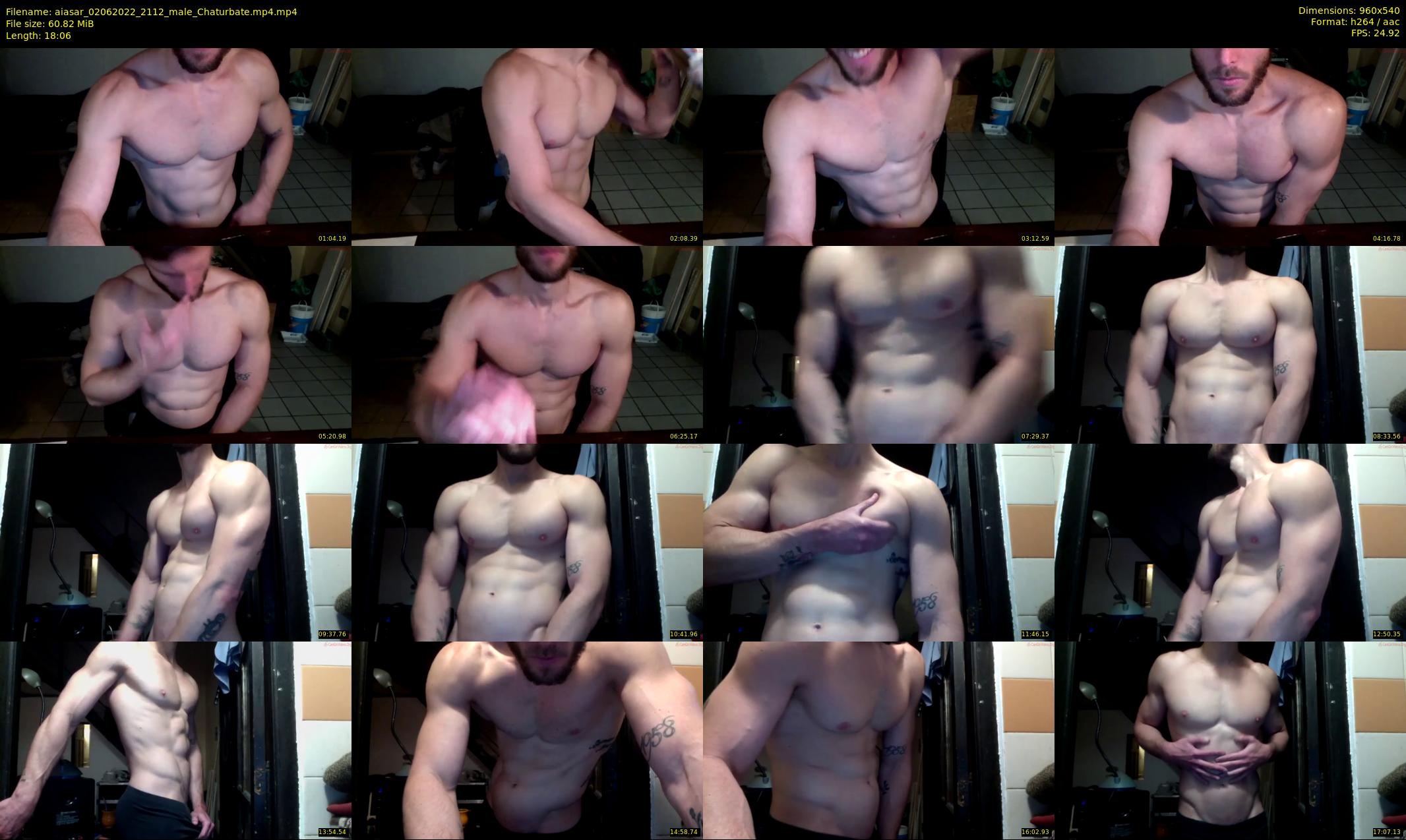 aiasar — 19 minute Chaturbate male cam show recording, 480p, Jun 2, 2022