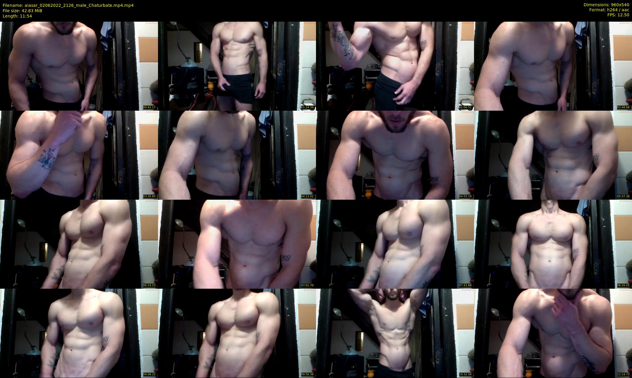 aiasar — 12 minute Chaturbate male cam show recording, 480p, Jun 2, 2022