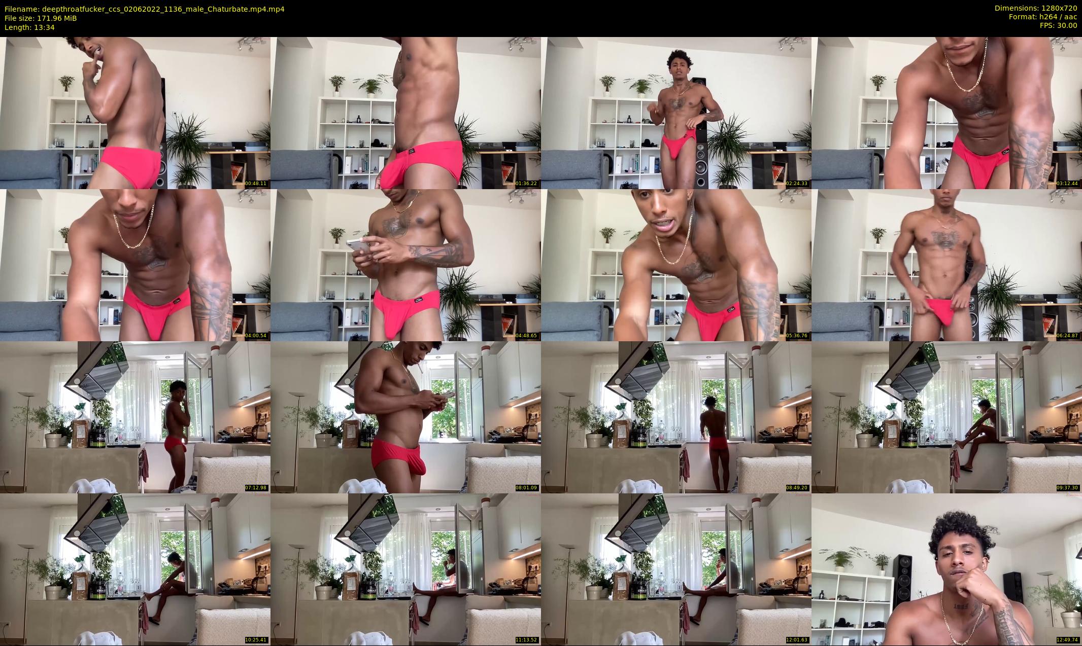 deepthroatfucker_ccs — 14 minute Chaturbate male cam show recording, 720p, Jun 2, 2022