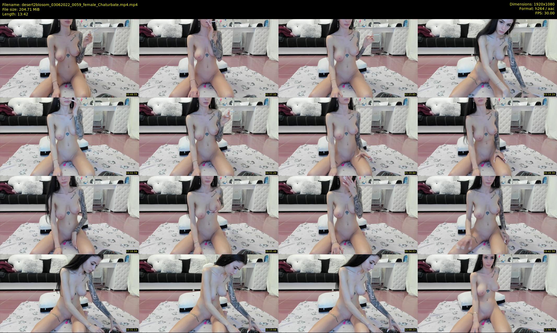 desert2blosom — 14 minute Chaturbate female cam show recording, 1080p, Jun 3, 2022
