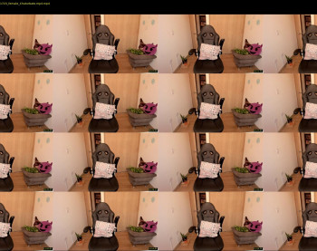lalanaughty1 — 19 minute Chaturbate female cam show recording, 1080p, Jun 2, 2022