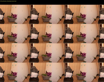 lalanaughty1 — 16 minute Chaturbate female cam show recording, 1080p, Jun 2, 2022
