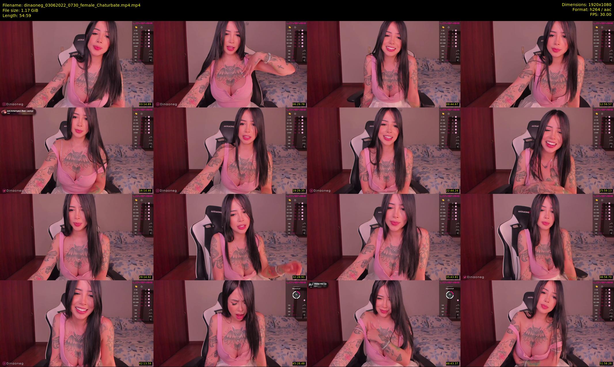 dinaoneg — 55 minute Chaturbate female cam show recording, 1080p, Jun 3, 2022