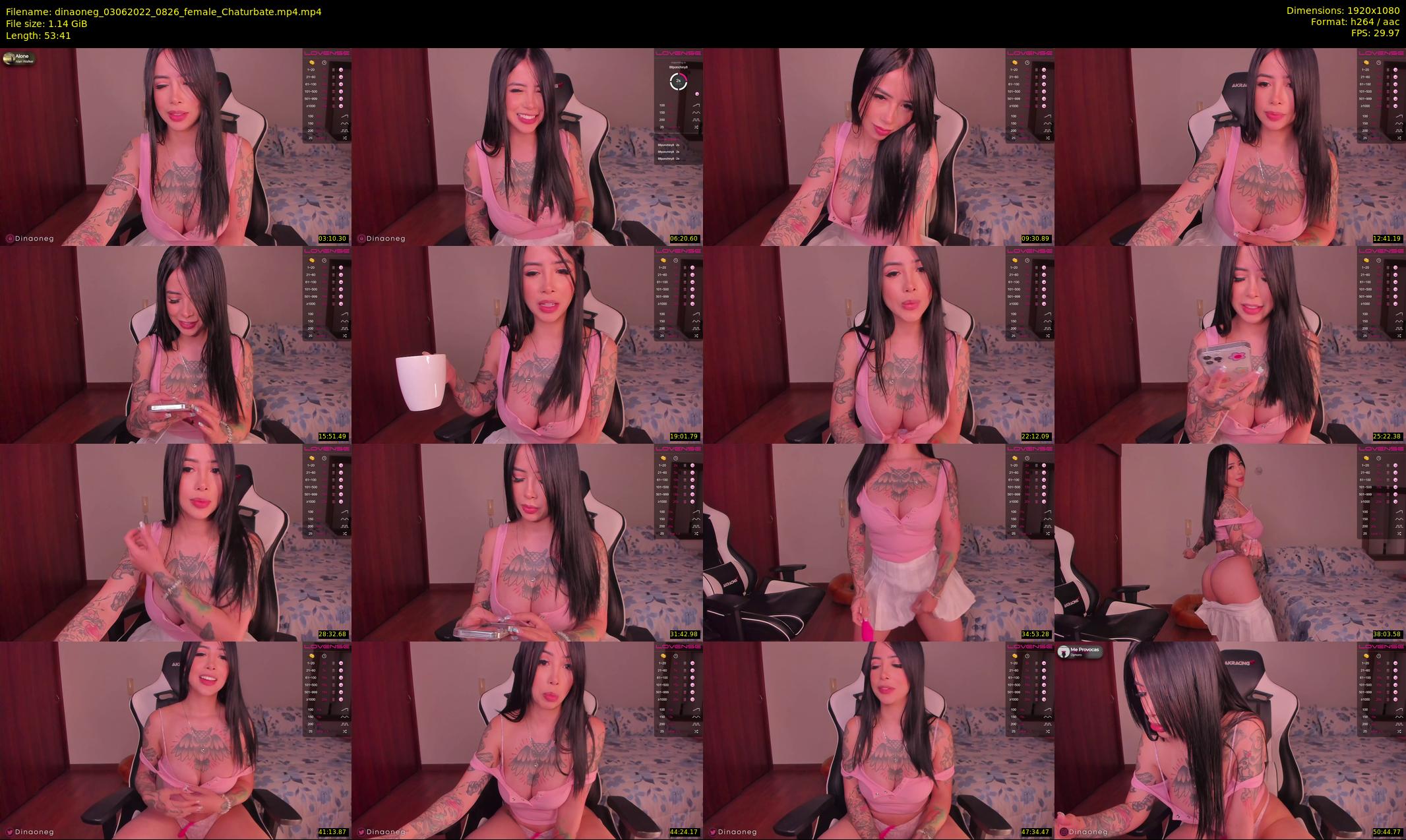 dinaoneg — 54 minute Chaturbate female cam show recording, 1080p, Jun 3, 2022