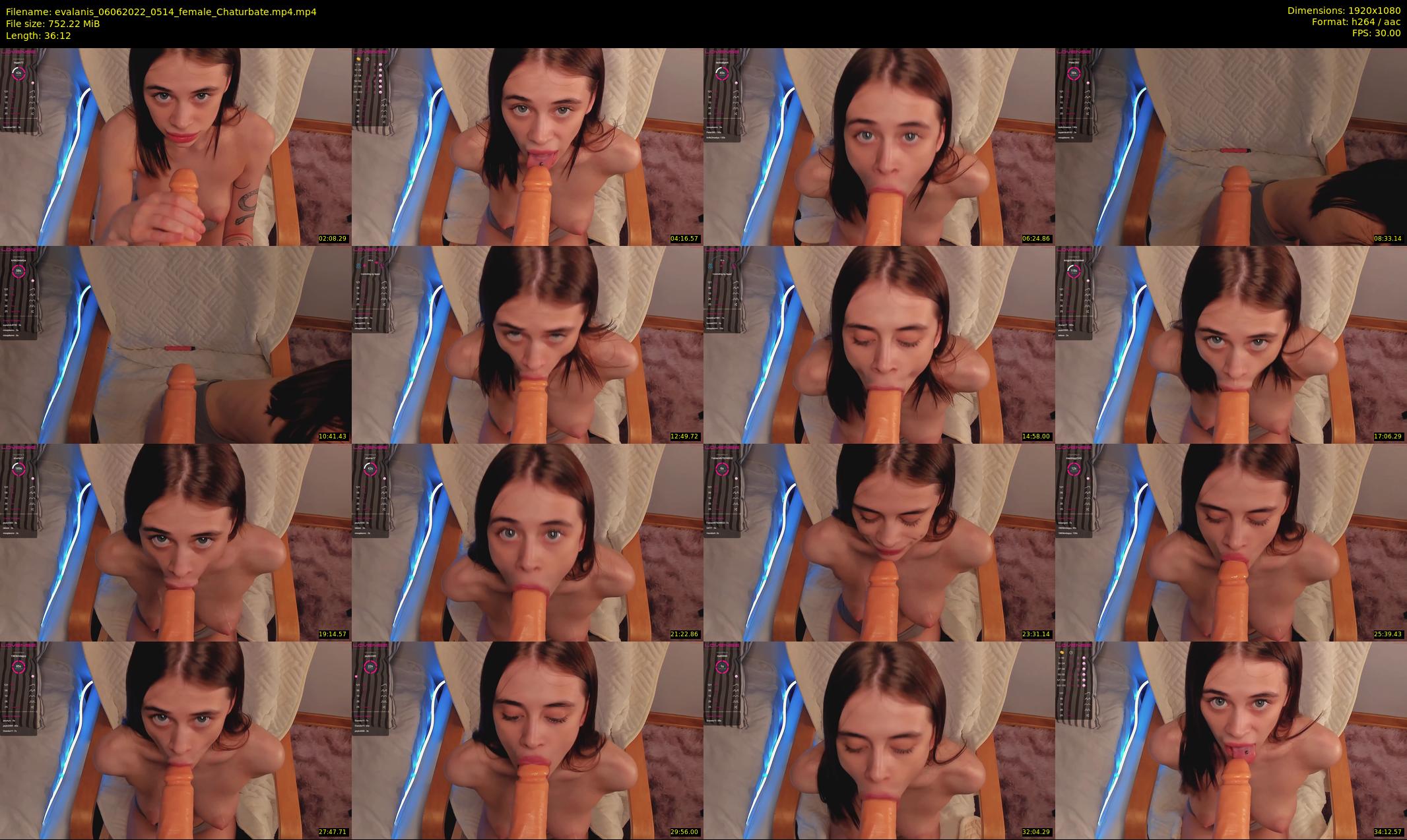 evalanis — 37 minute Chaturbate couple cam show recording, 1080p, Jun 6, 2022