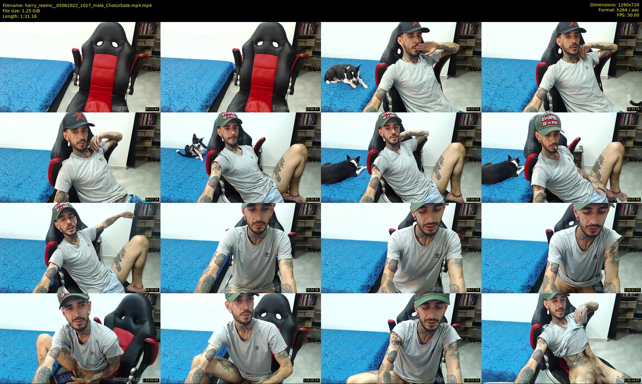 harry_reems_ — 92 minute Chaturbate male cam show recording, 720p, Jun 5, 2022