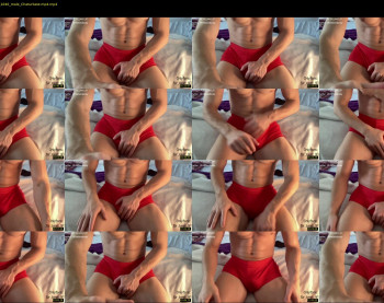 bestdick1991 — 14 minute Chaturbate male cam show recording, 720p, Jun 9, 2022