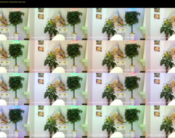 ethel_alen — 20 minute Chaturbate female cam show recording, 1080p, Jun 9, 2022