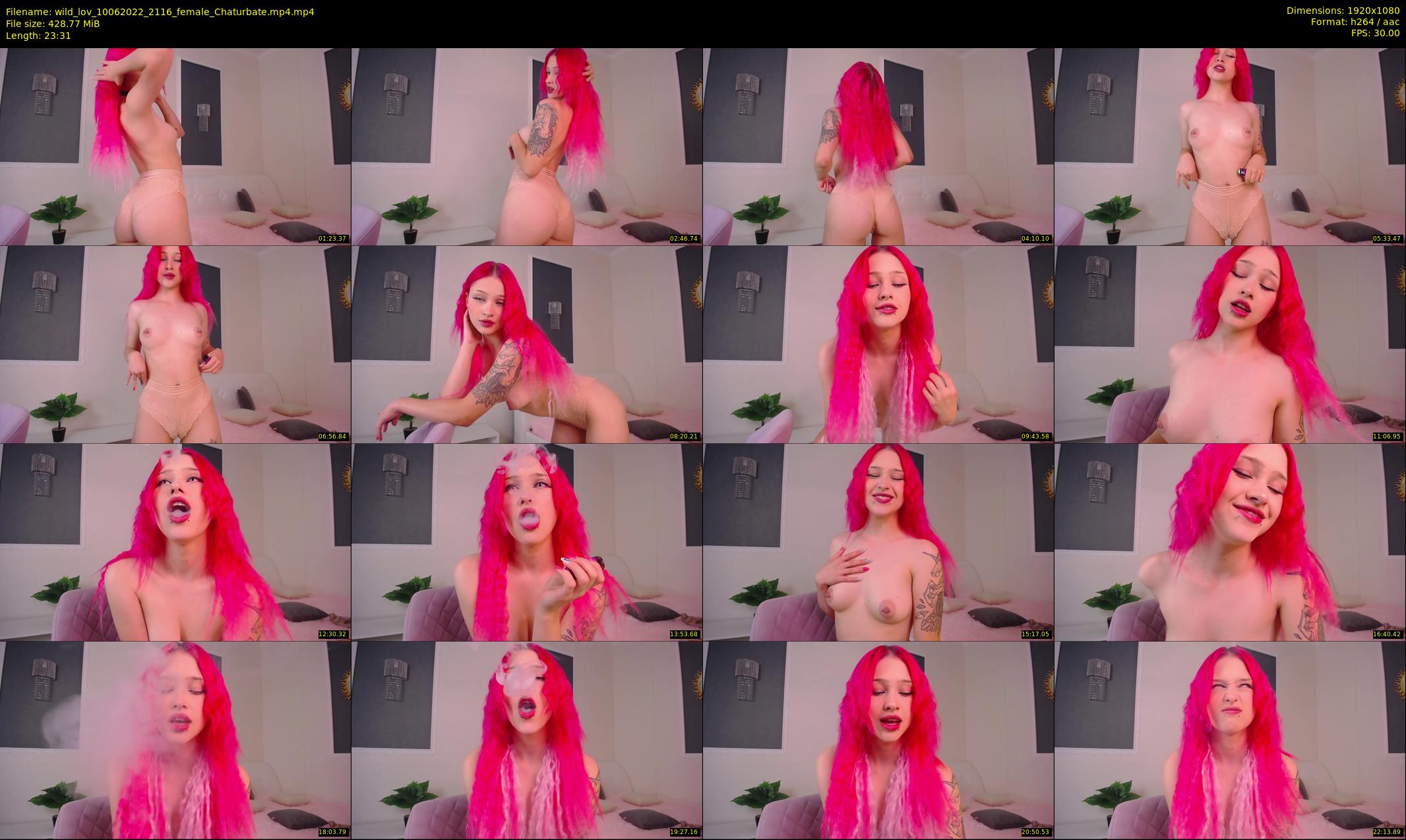 wild_lov — 24 minute Chaturbate female cam show recording, 1080p, Jun 10, 2022