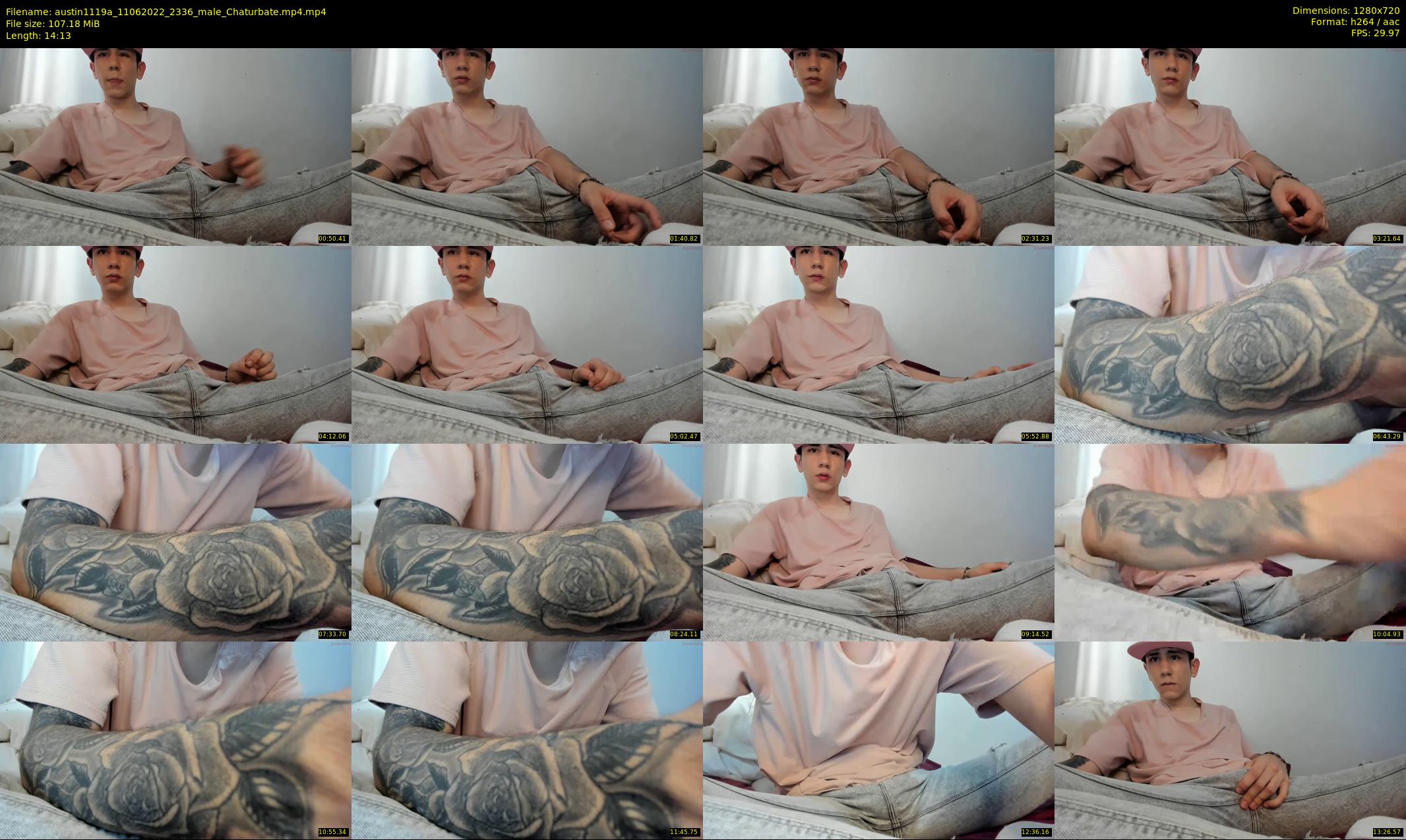 austin1119a — 15 minute Chaturbate male cam show recording, 720p, Jun 11, 2022