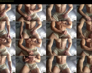 bestdick1991 — 20 minute Chaturbate male cam show recording, 720p, Jun 12, 2022