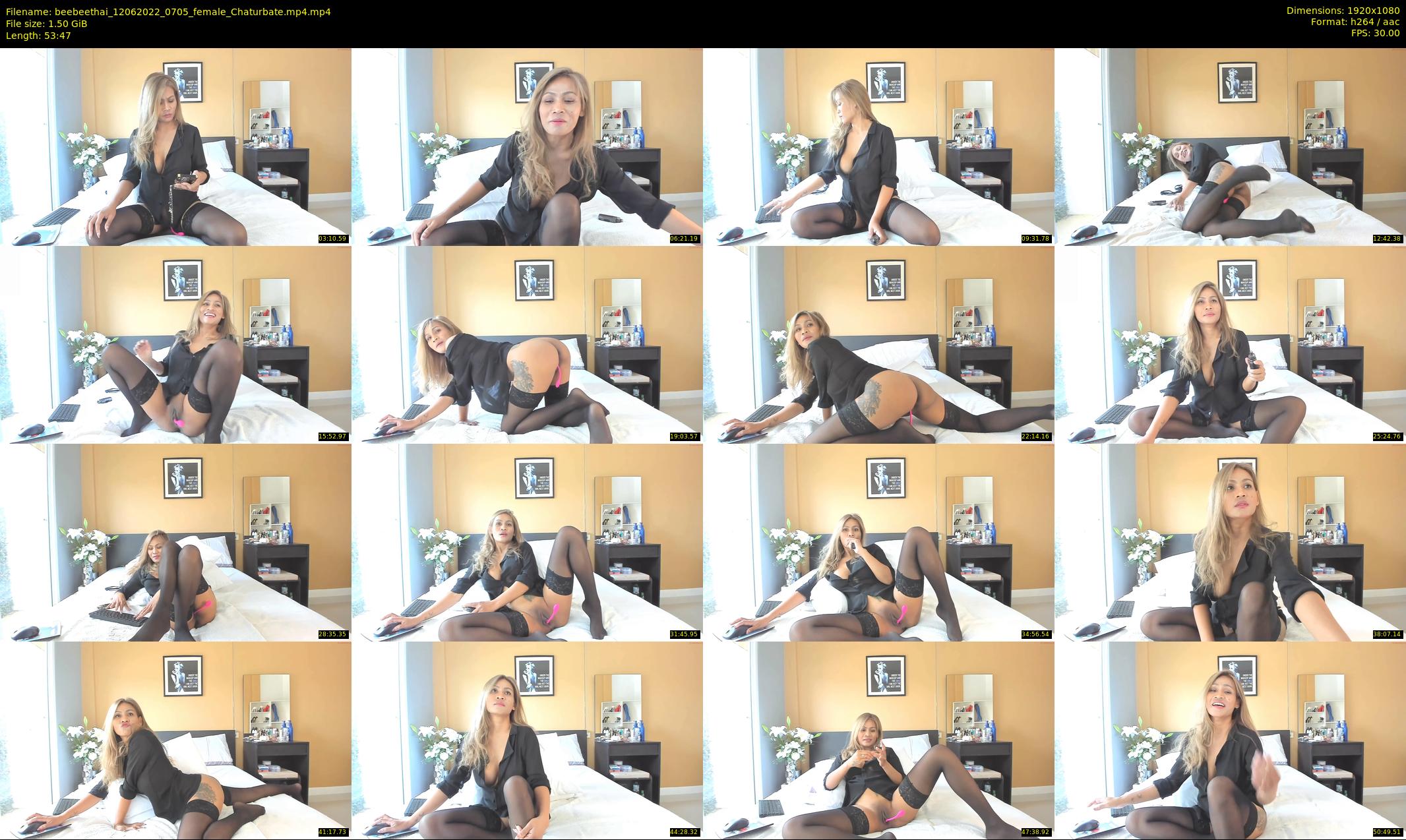 beebeethai — 54 minute Chaturbate female cam show recording, 1080p, Jun 12, 2022