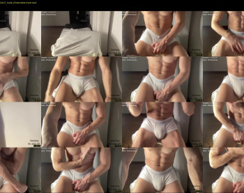 bestdick1991 — 30 minute Chaturbate male cam show recording, 720p, Jun 15, 2022