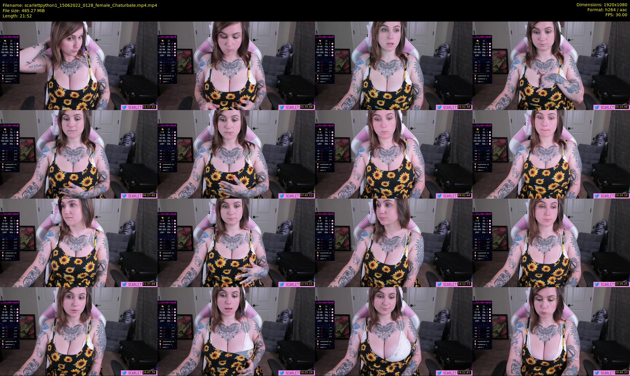 scarlettpython1 — 22 minute Chaturbate female cam show recording, 1080p, Jun 15, 2022