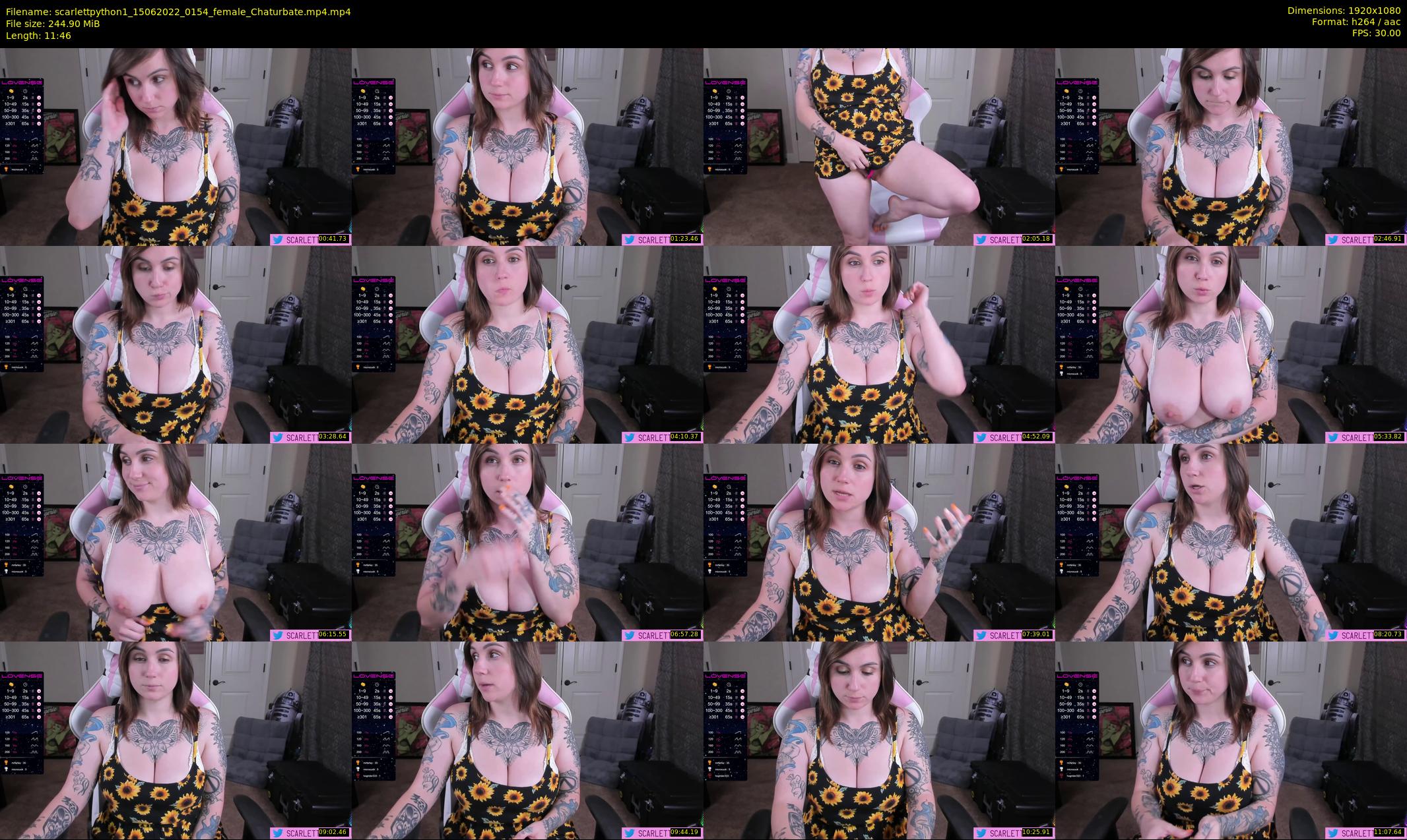 scarlettpython1 — 12 minute Chaturbate female cam show recording, 1080p, Jun 15, 2022
