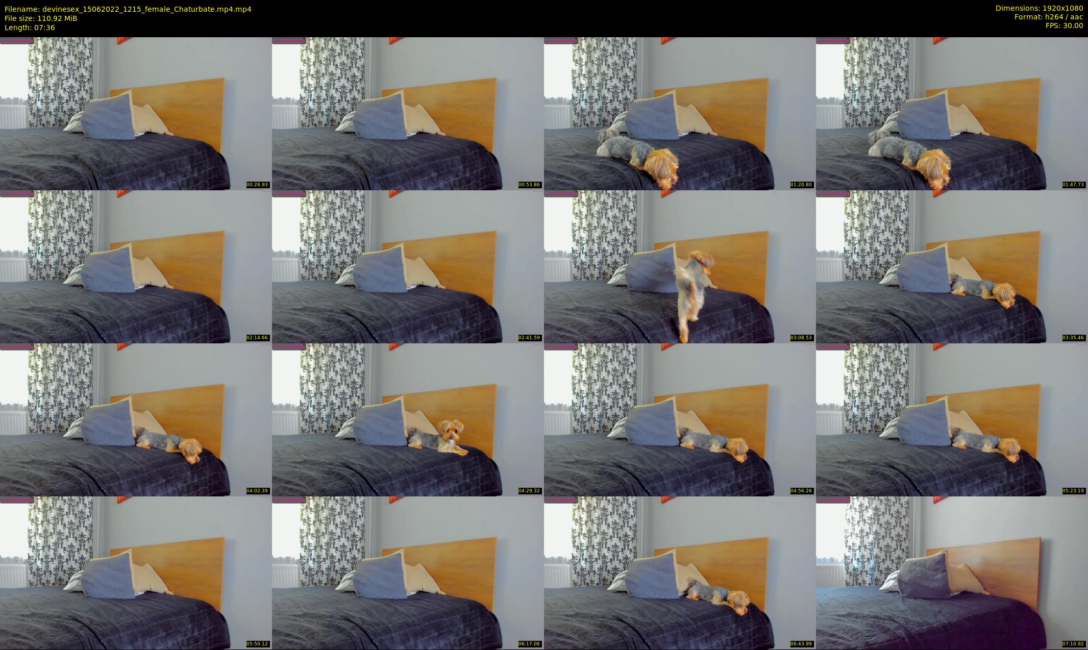 devinesex — 8 minute Chaturbate female cam show recording, 1080p, Jun 15, 2022