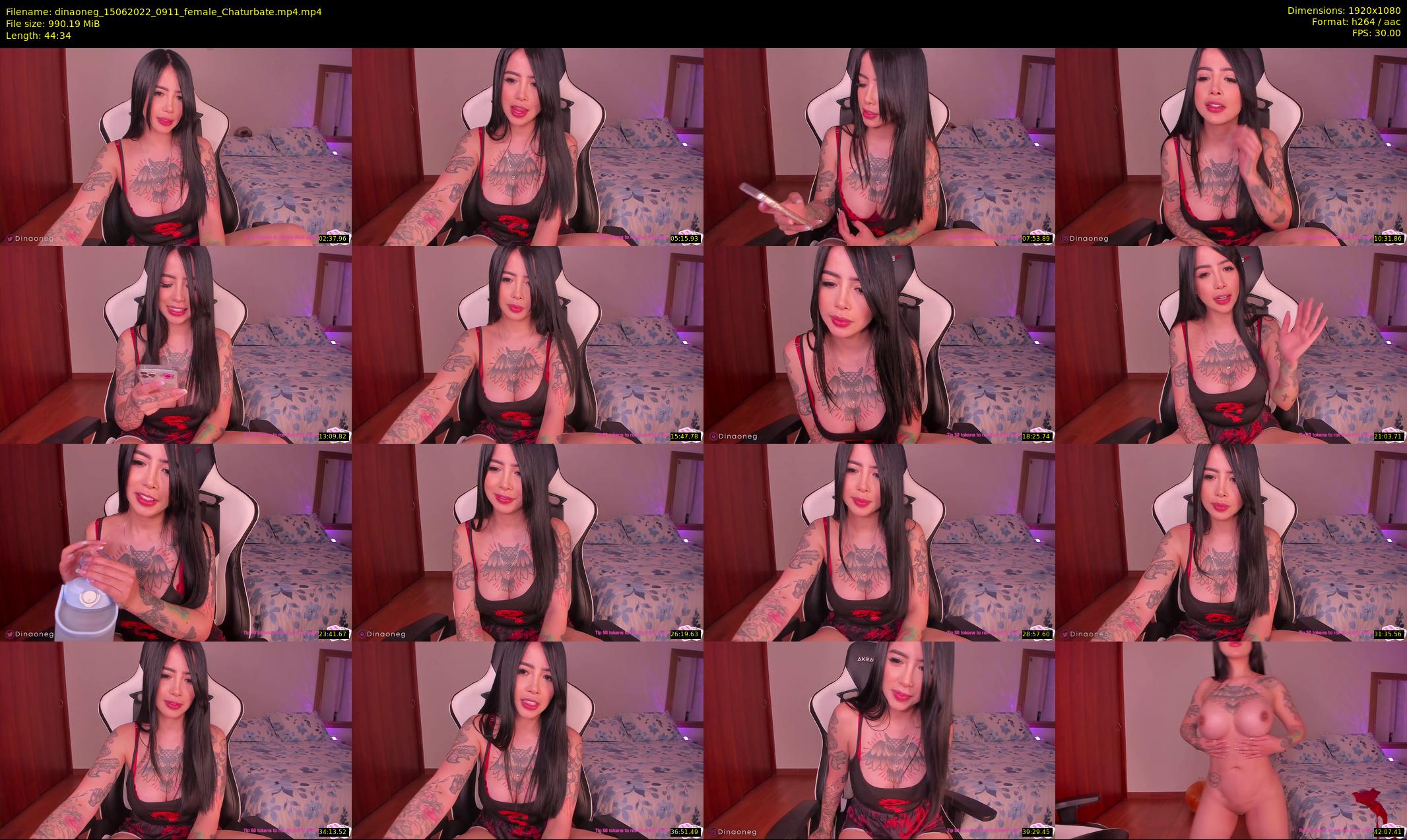 dinaoneg — 45 minute Chaturbate female cam show recording, 1080p, Jun 15, 2022