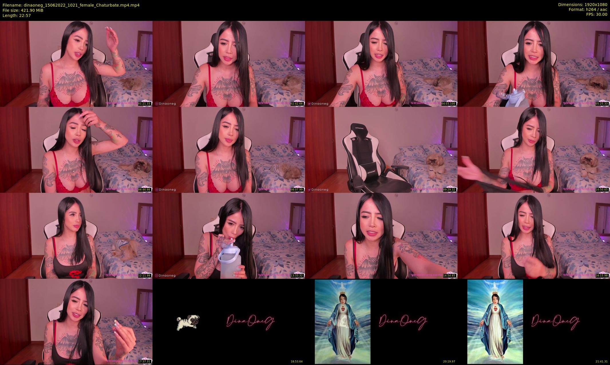 dinaoneg — 23 minute Chaturbate female cam show recording, 1080p, Jun 15, 2022
