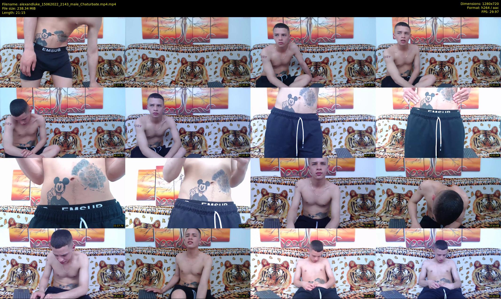 alexandluke — 22 minute Chaturbate male cam show recording, 720p, Jun 15, 2022