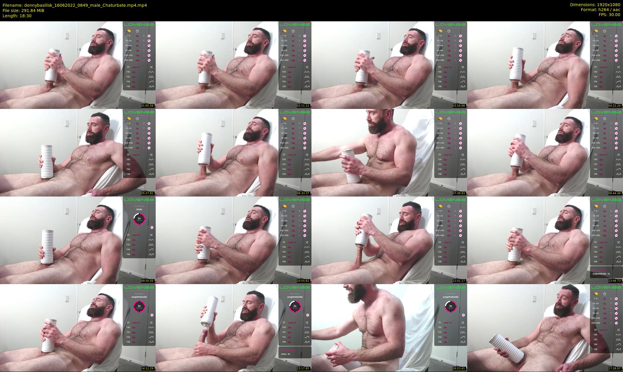 donnybasilisk — 19 minute Chaturbate male cam show recording, 1080p, Jun 16, 2022