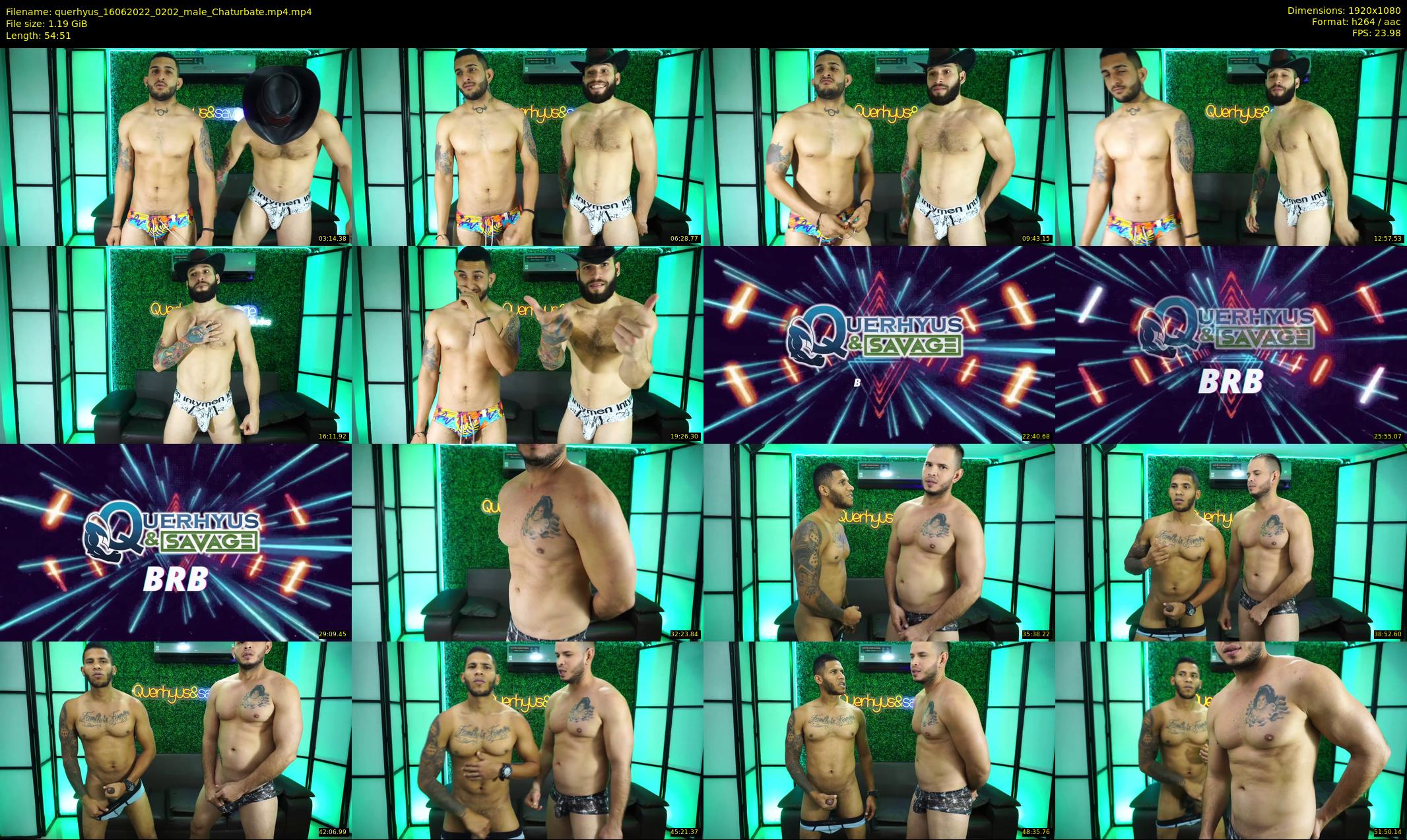 querhyus — 55 minute Chaturbate male cam show recording, 1080p, Jun 16, 2022
