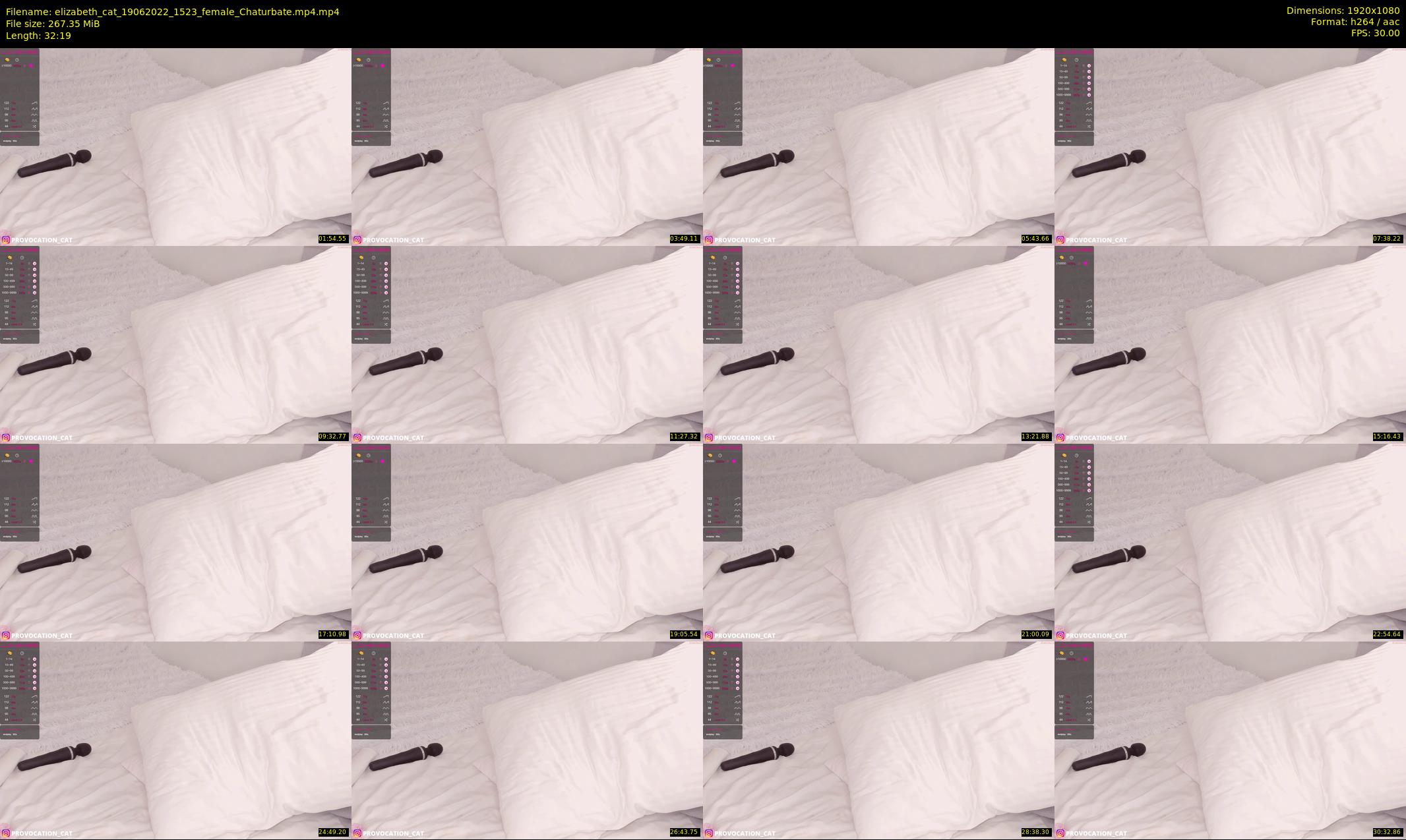 elizabeth_cat — 33 minute Chaturbate female cam show recording, 1080p, Jun 19, 2022