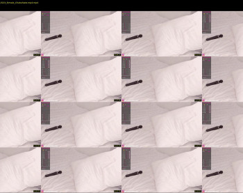 elizabeth_cat — 33 minute Chaturbate female cam show recording, 1080p, Jun 19, 2022