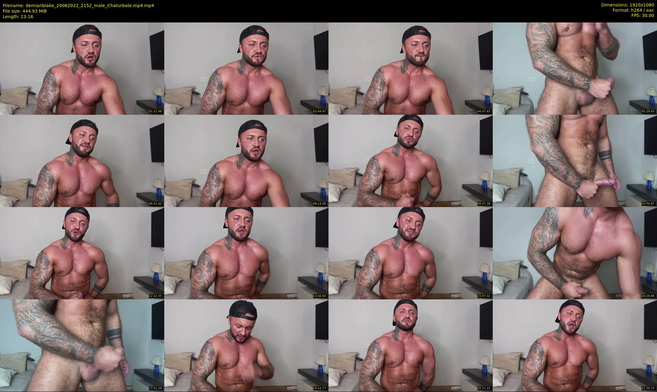demianblake — 24 minute Chaturbate male cam show recording, 1080p, Jun 20, 2022
