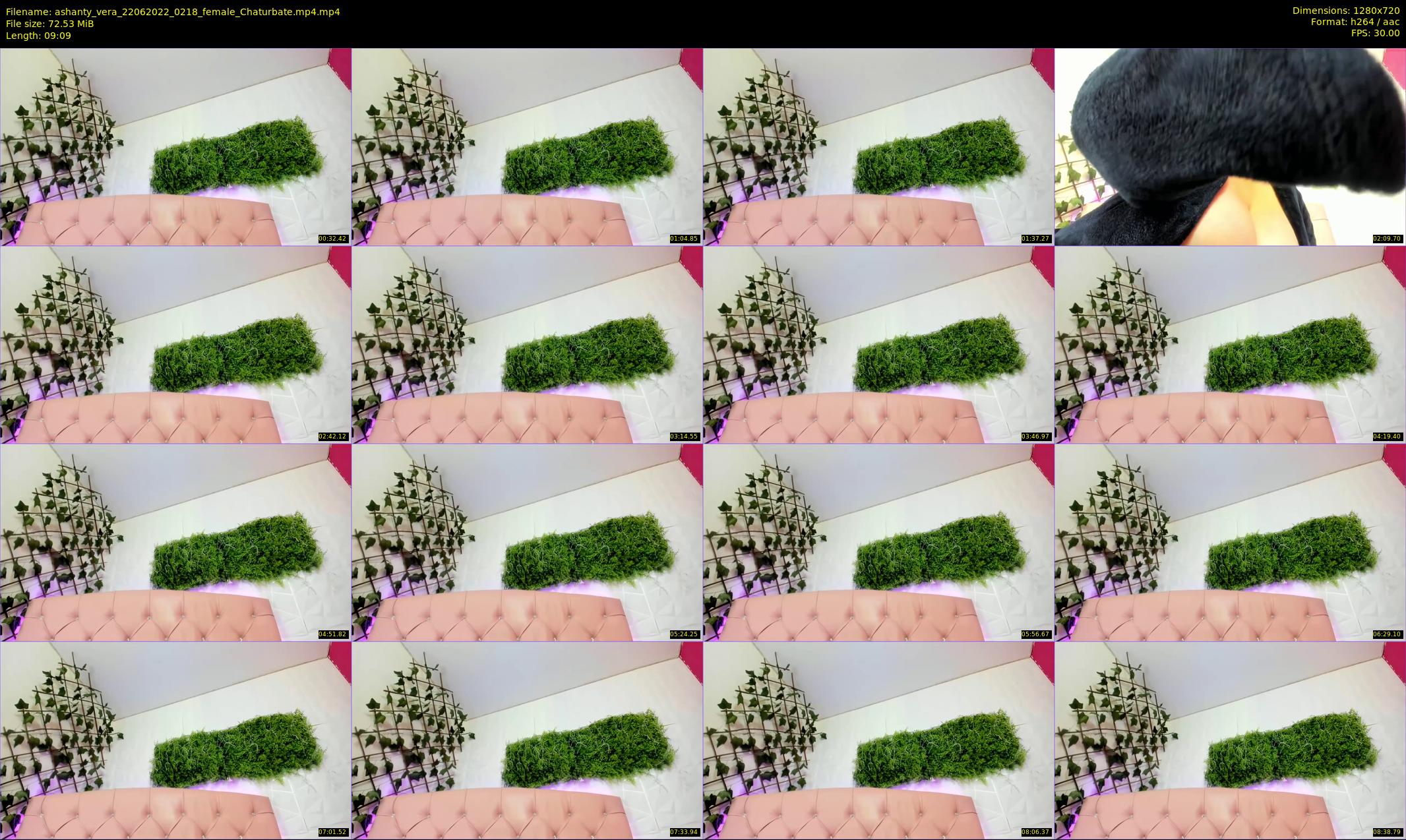 ashanty_vera — 10 minute Chaturbate couple cam show recording, 720p, Jun 22, 2022