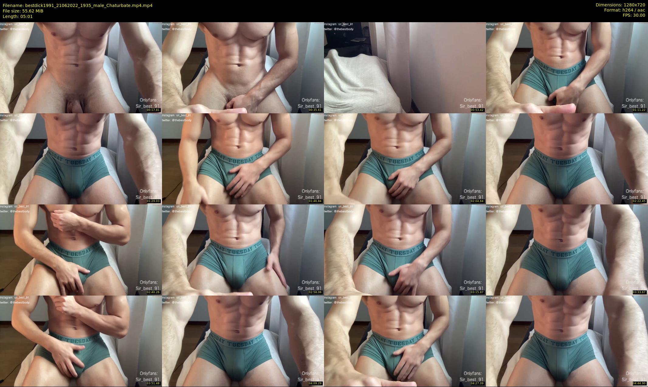 bestdick1991 — 6 minute Chaturbate male cam show recording, 720p, Jun 21, 2022