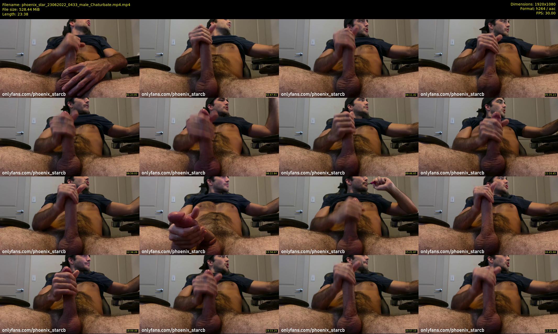 phoenix_star — 24 minute Chaturbate male cam show recording, 1080p, Jun 23, 2022