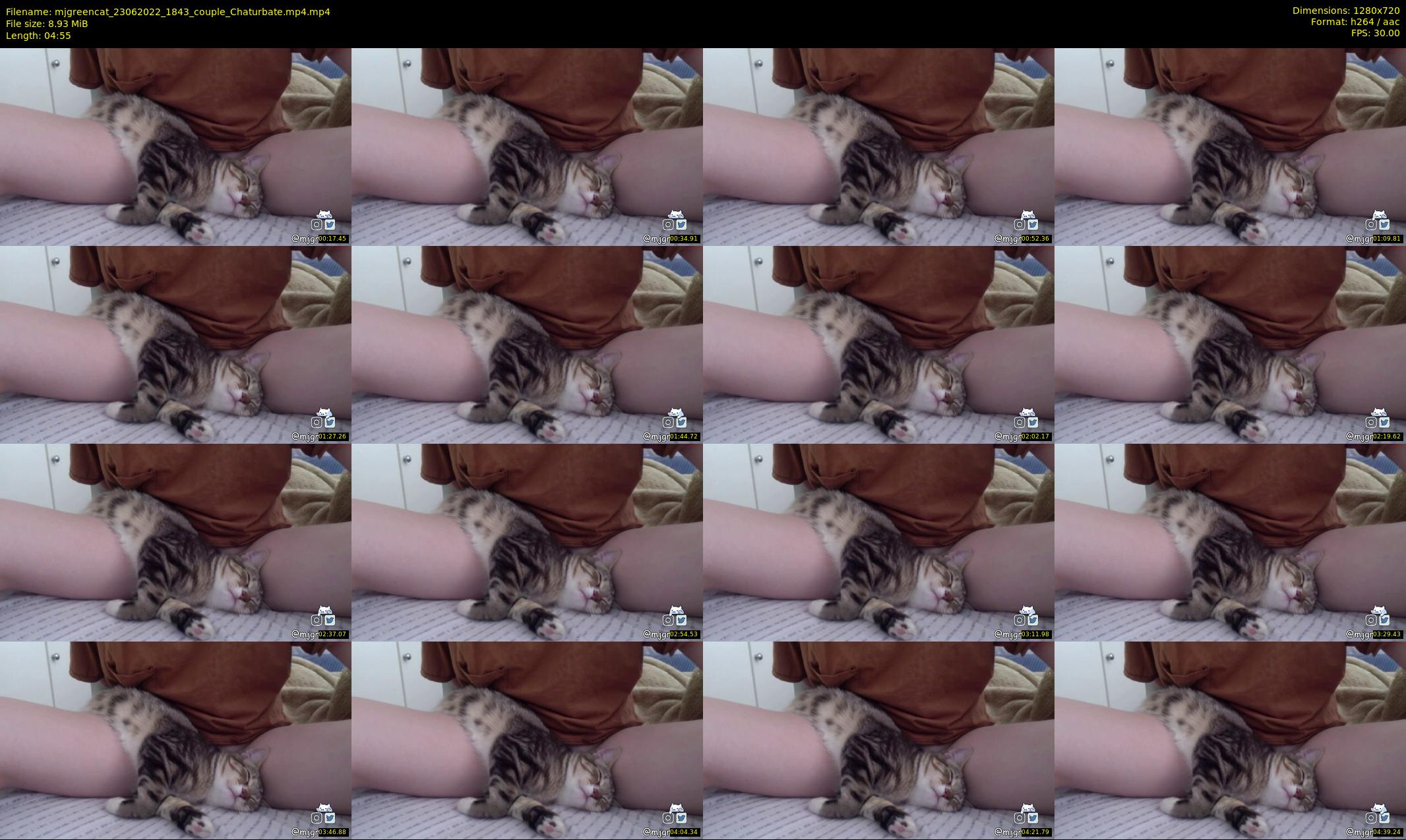 mjgreencat — 5 minute Chaturbate female cam show recording, 720p, Jun 23, 2022