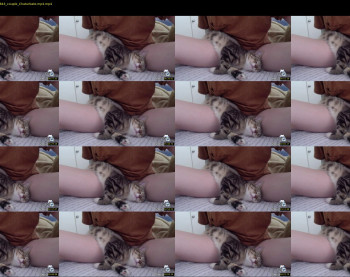 mjgreencat — 5 minute Chaturbate female cam show recording, 720p, Jun 23, 2022