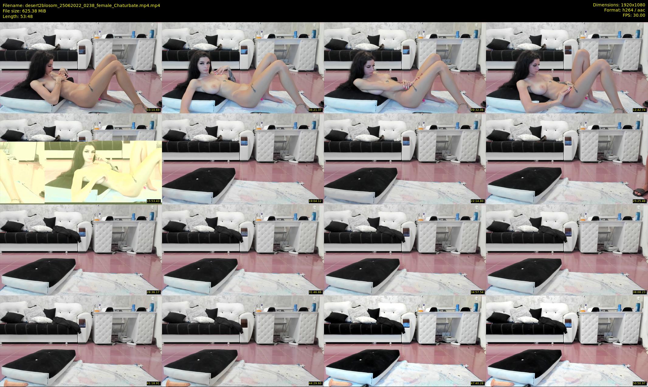 desert2blosom — 54 minute Chaturbate female cam show recording, 1080p, Jun 25, 2022