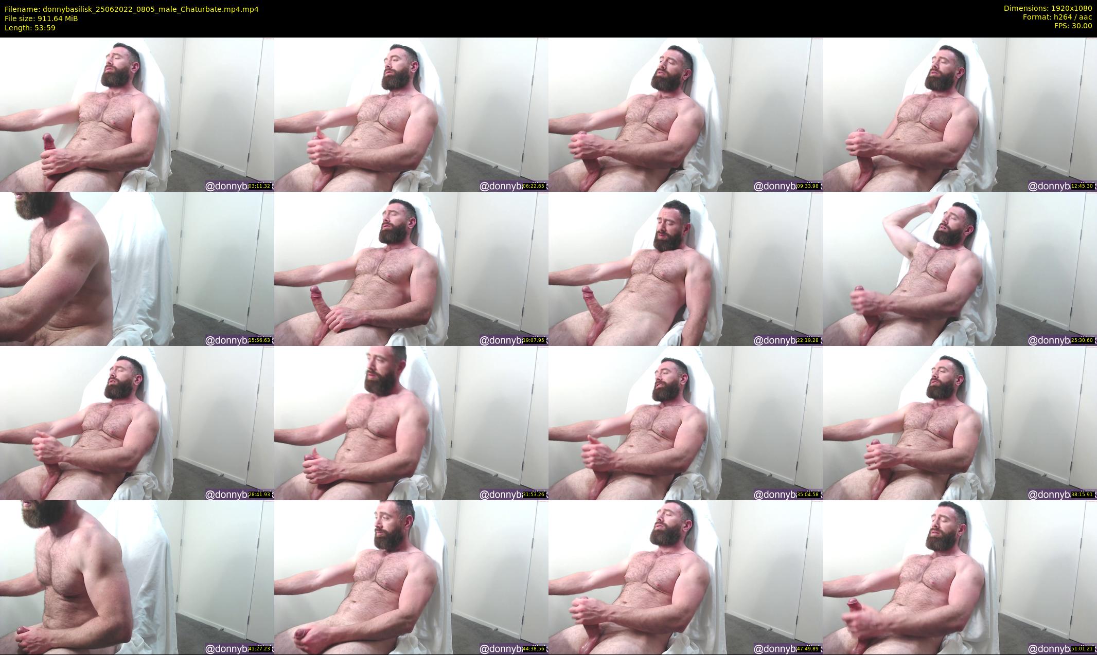 donnybasilisk — 54 minute Chaturbate male cam show recording, 1080p, Jun 25, 2022