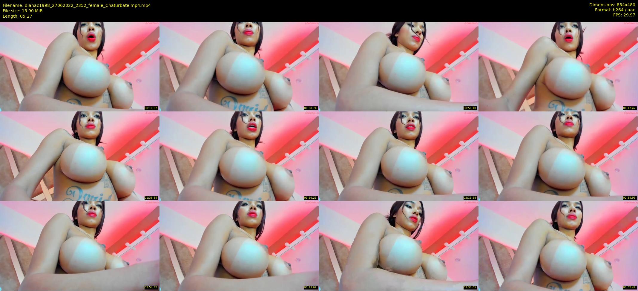 dianac1998 — 6 minute Chaturbate female cam show recording, 480p, Jun 27, 2022