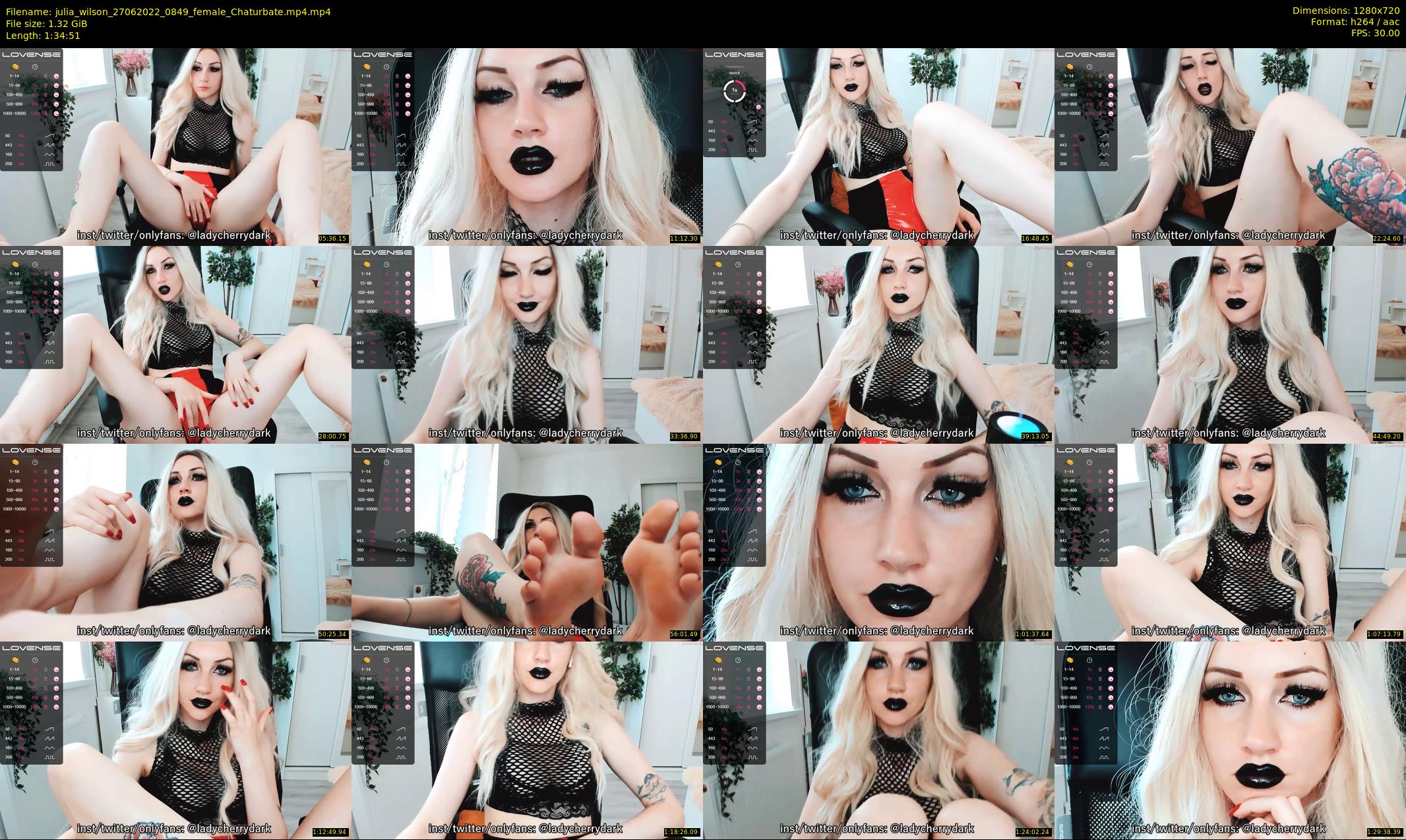 julia_wilson — 95 minute Chaturbate female cam show recording, 720p, Jun 27, 2022